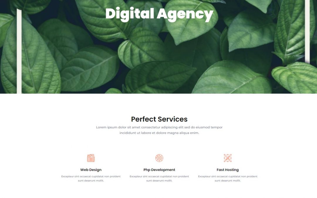 Agency 1